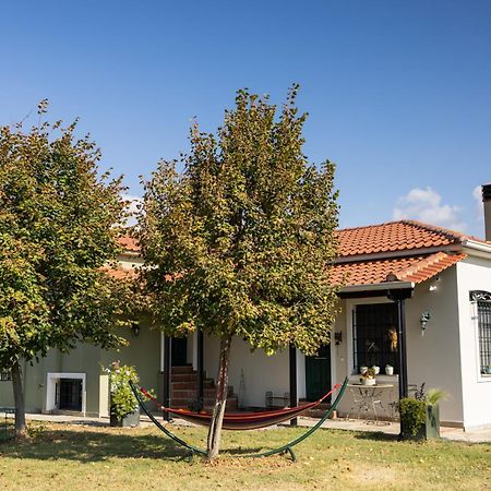 Villa The Hobbit Hole Tríkala Exterior foto